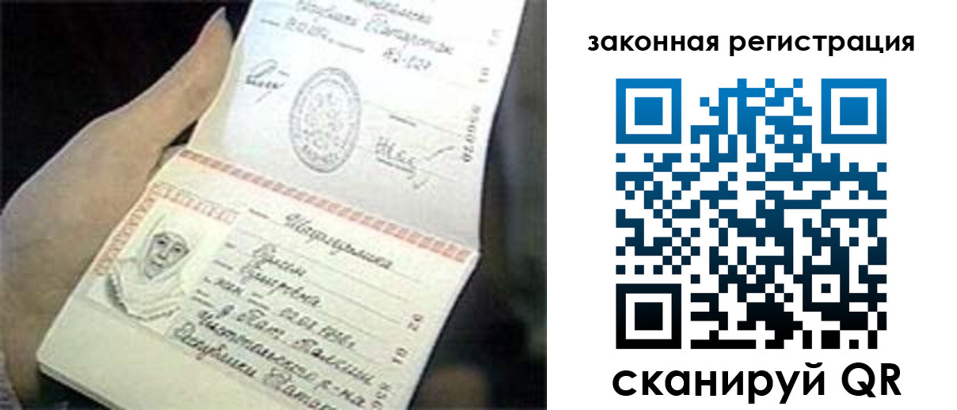 прописка для школы в Светлограде